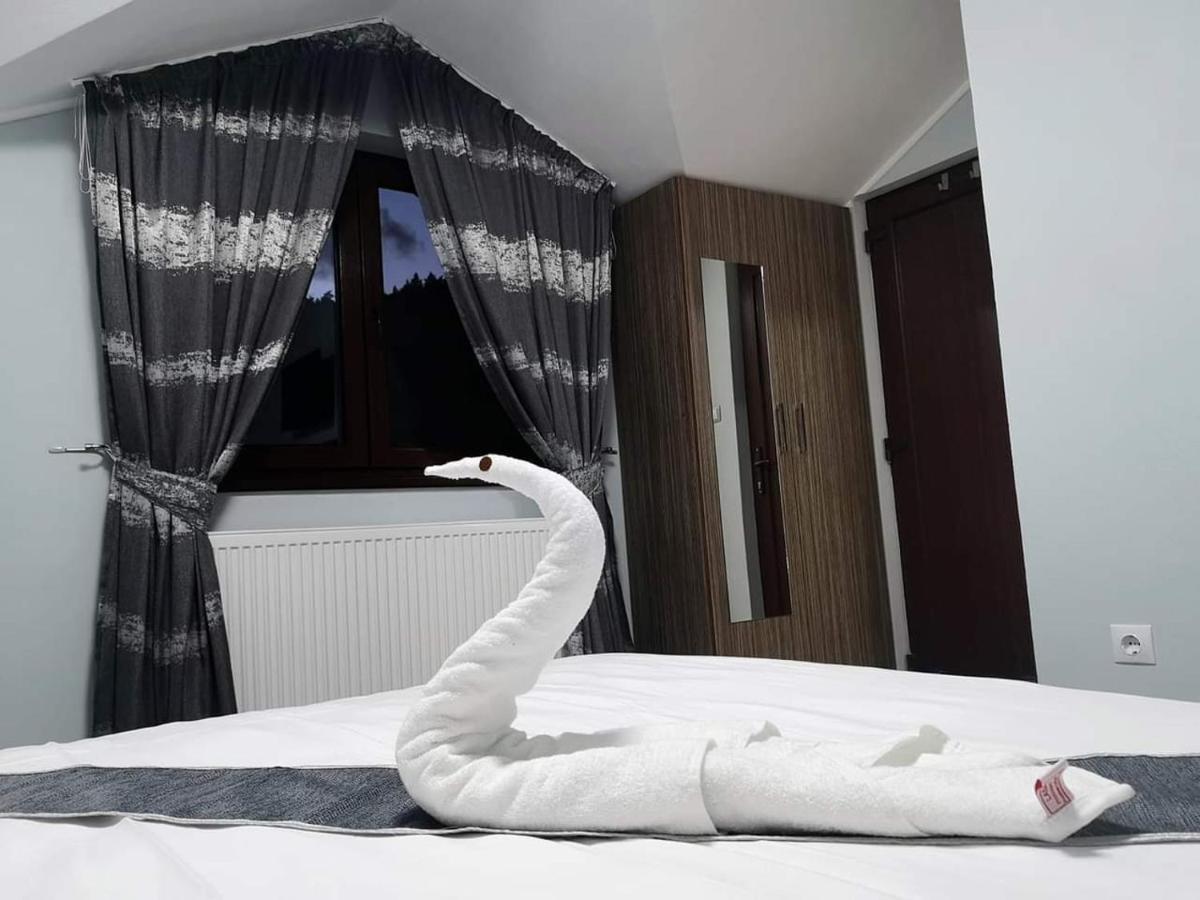 Casa Cizi Hotell Călimăneşti Exteriör bild
