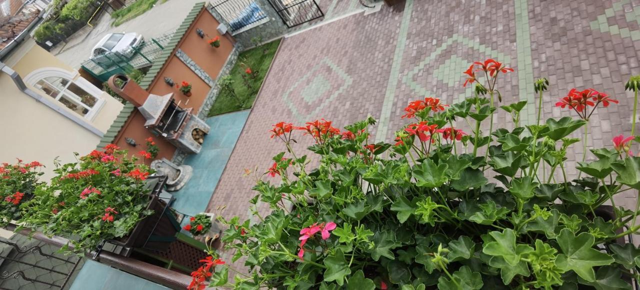 Casa Cizi Hotell Călimăneşti Exteriör bild