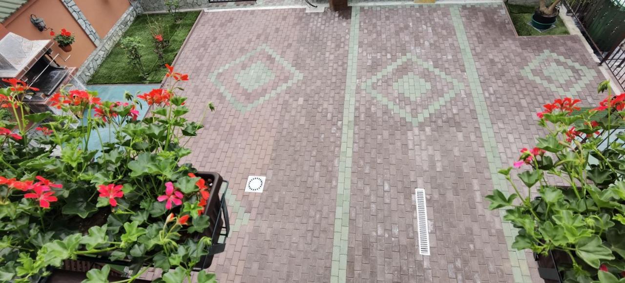Casa Cizi Hotell Călimăneşti Exteriör bild