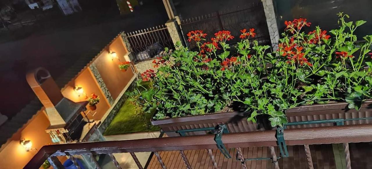 Casa Cizi Hotell Călimăneşti Exteriör bild