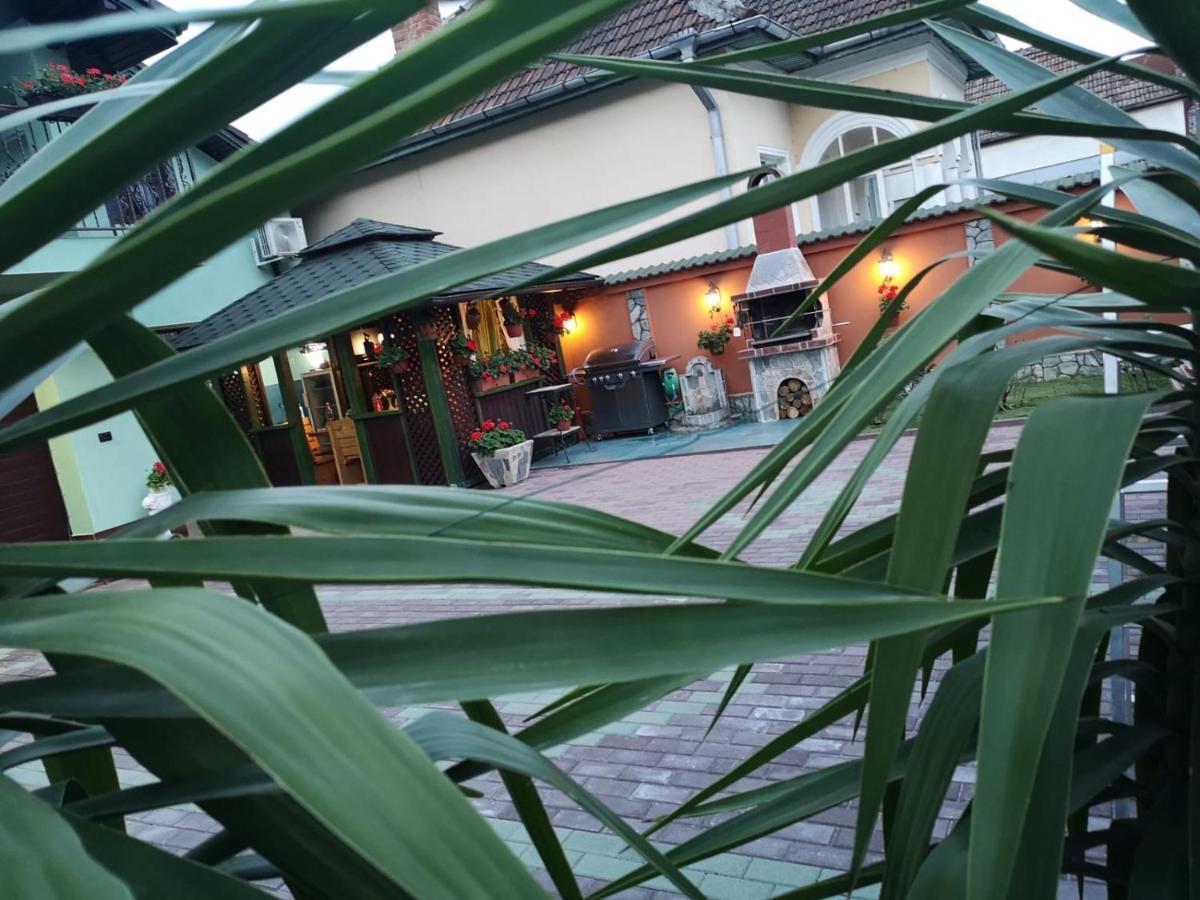 Casa Cizi Hotell Călimăneşti Exteriör bild