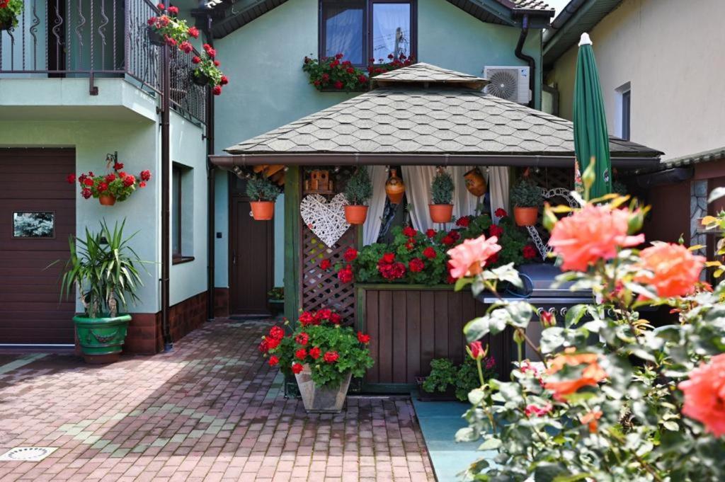 Casa Cizi Hotell Călimăneşti Exteriör bild