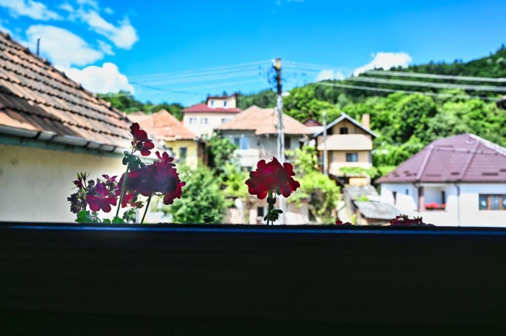 Casa Cizi Hotell Călimăneşti Exteriör bild